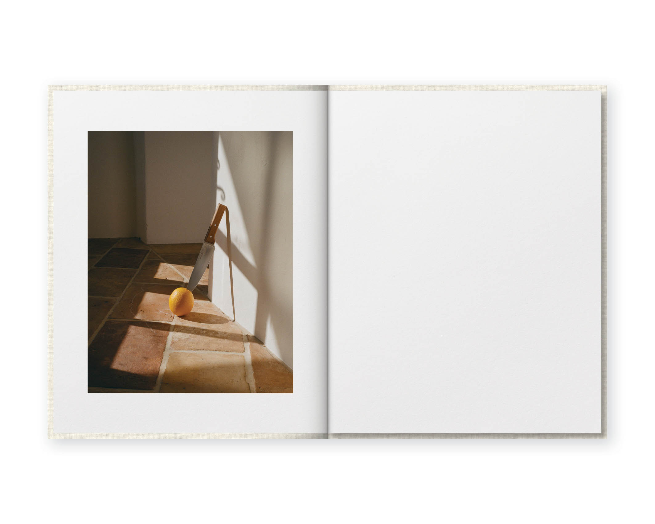 Nick Prideaux Grace Land Book