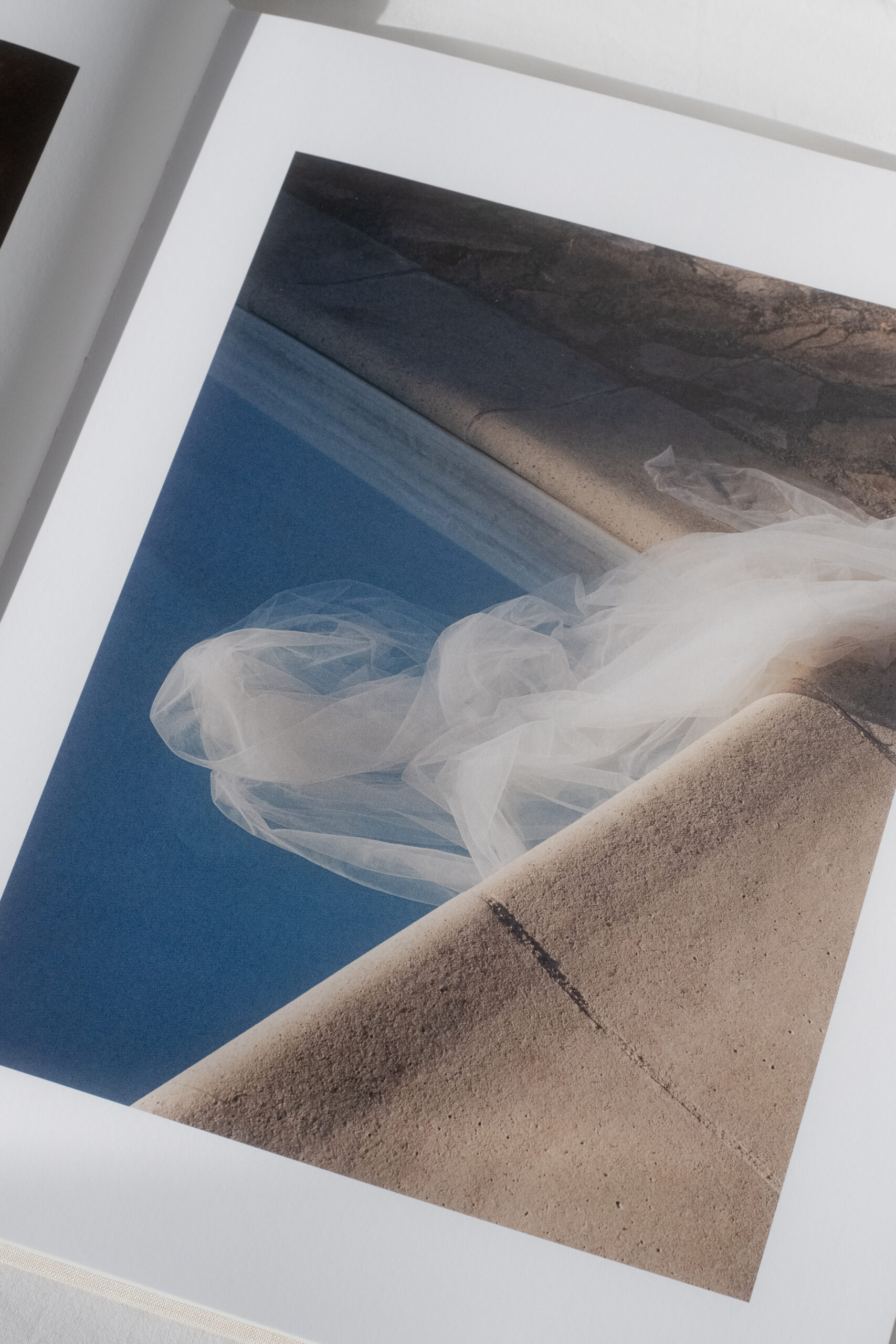 Nick Prideaux Grace Land Book
